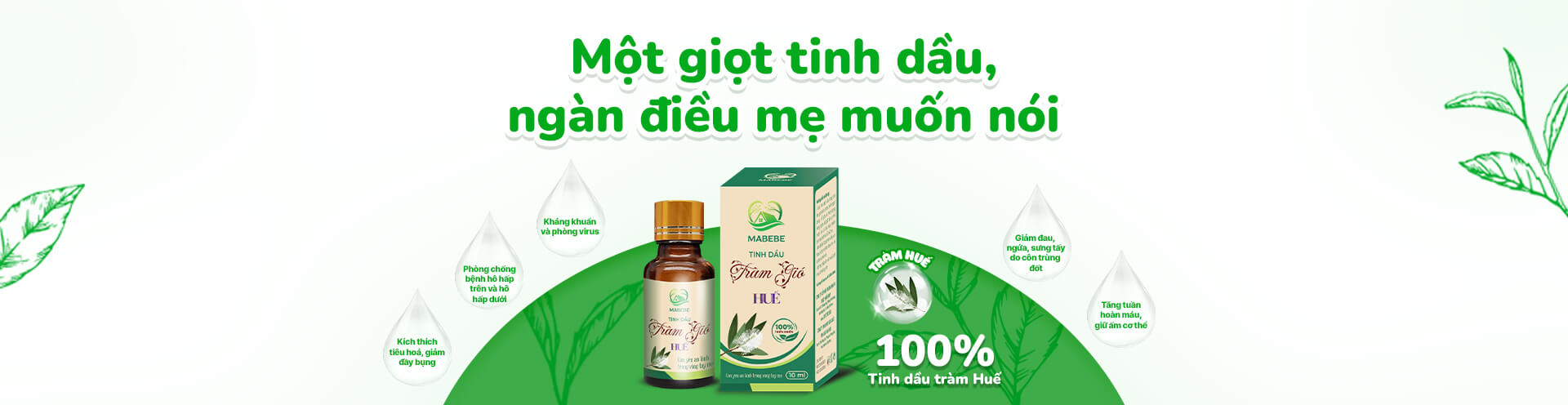 Tinh dầu tràm Mabebe