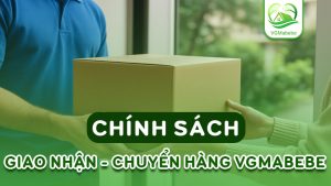 chính sách giao nhận và chuyển hàng của VGMabebe