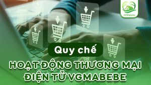 quy chế hoạt động thương mại điện tử