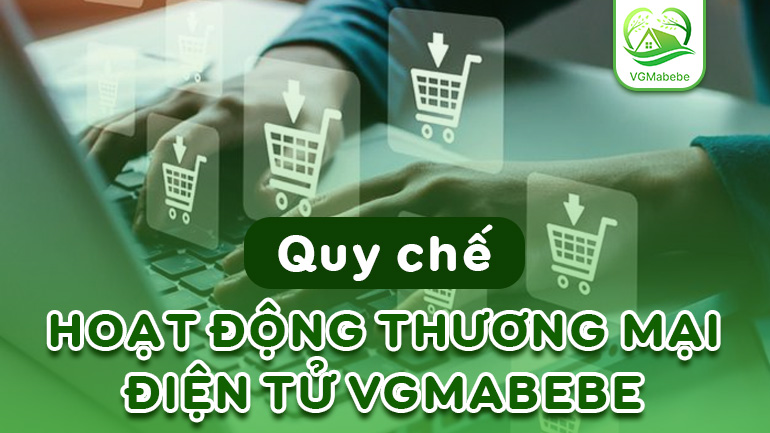quy chế hoạt động thương mại điện tử