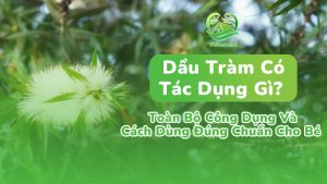 Tác dụng của tinh dầu tràm