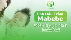 Tinh dầu tràm Mabebe